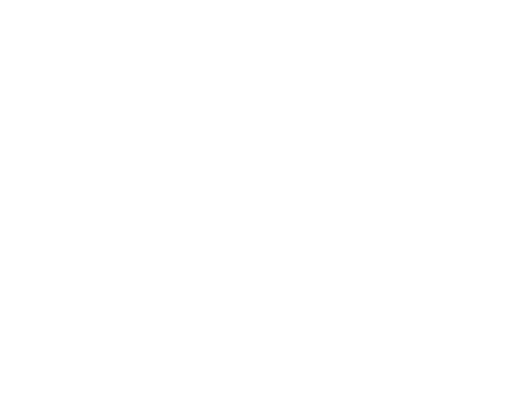 Duo Energy logo white